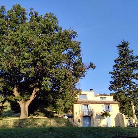 Maison D'Hotes Du Grand Chene Valensole Exteriér fotografie