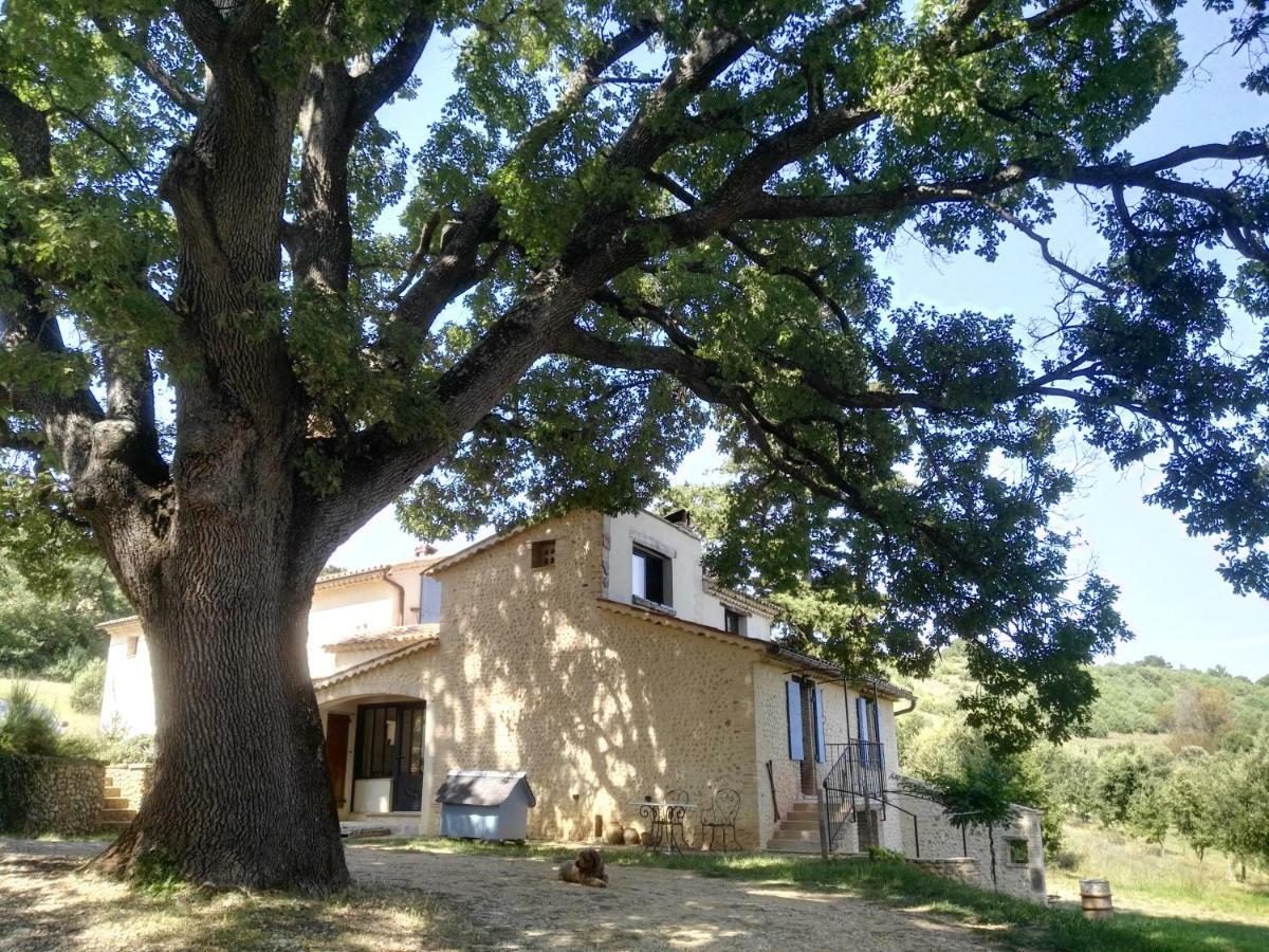 Maison D'Hotes Du Grand Chene Valensole Exteriér fotografie