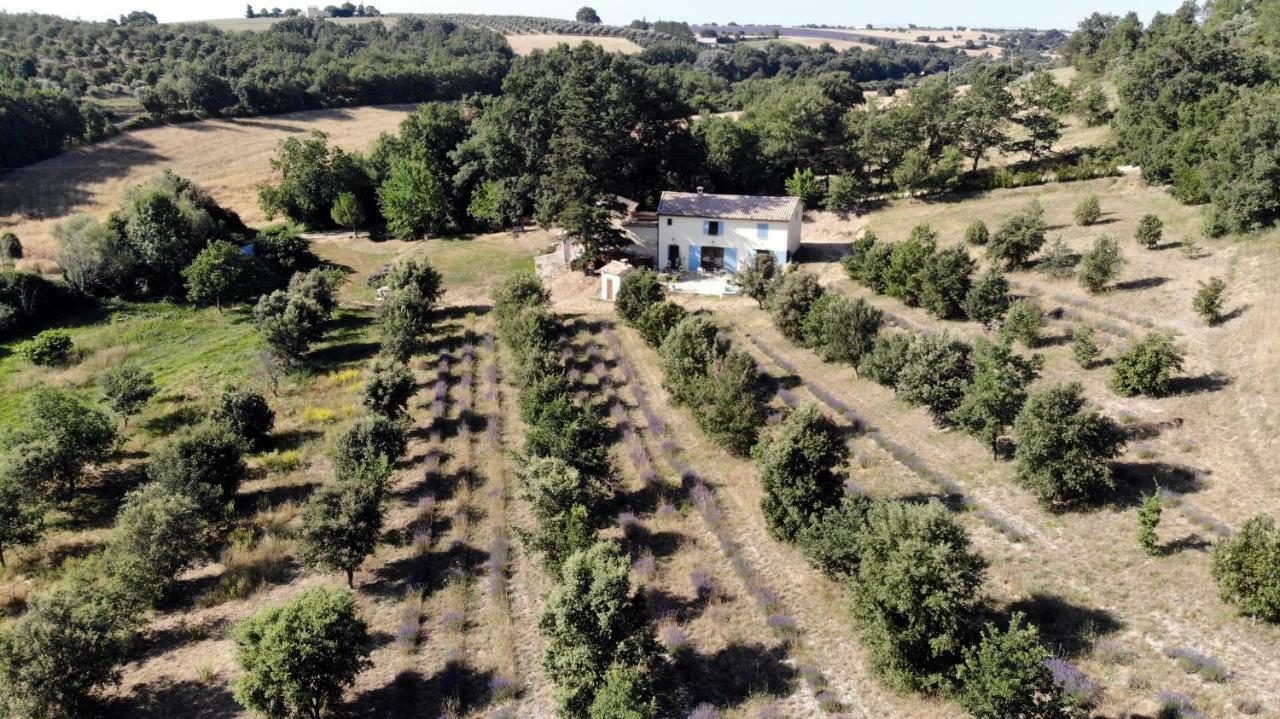 Maison D'Hotes Du Grand Chene Valensole Exteriér fotografie